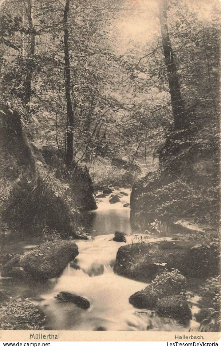 LUXEMBOURG - Müllerthal - Hallerbach - Rivière - Carte Postale Ancienne - Muellerthal