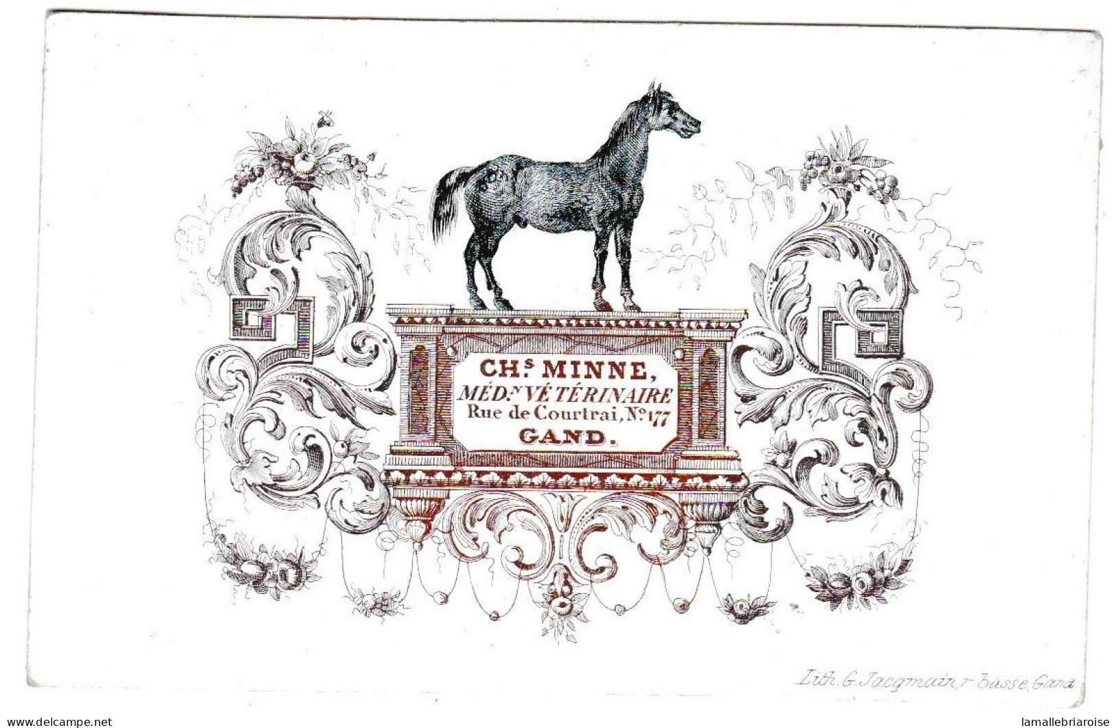 Belgique "Carte Porcelaine"  Porseleinkaart, CHs Minne Médecin Véterinaire, Gand, Dim:92x58mm - Porzellan