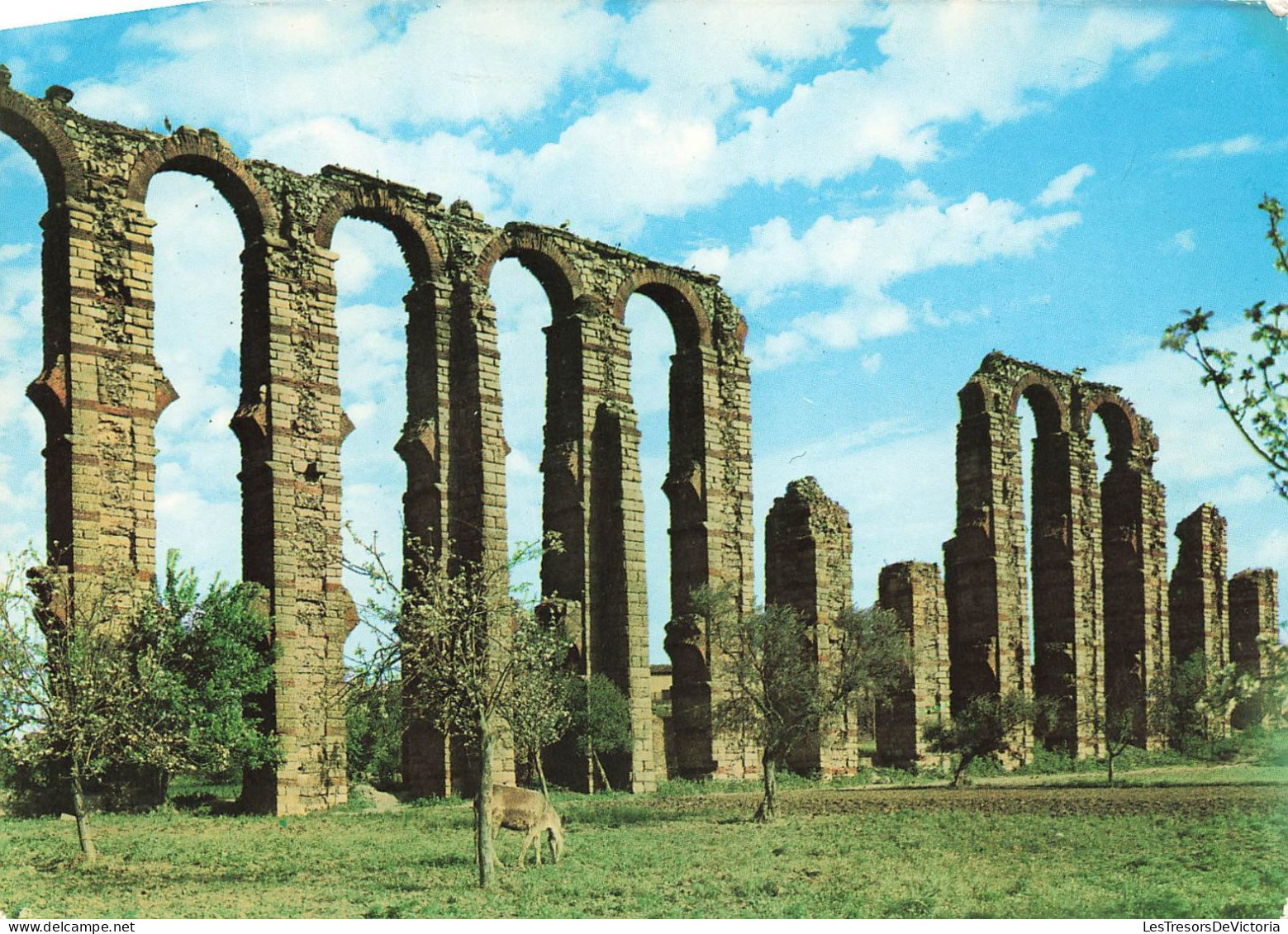 MEXIQUE - Mérida - Aqueduc Romain - Carte Postale - Mexique