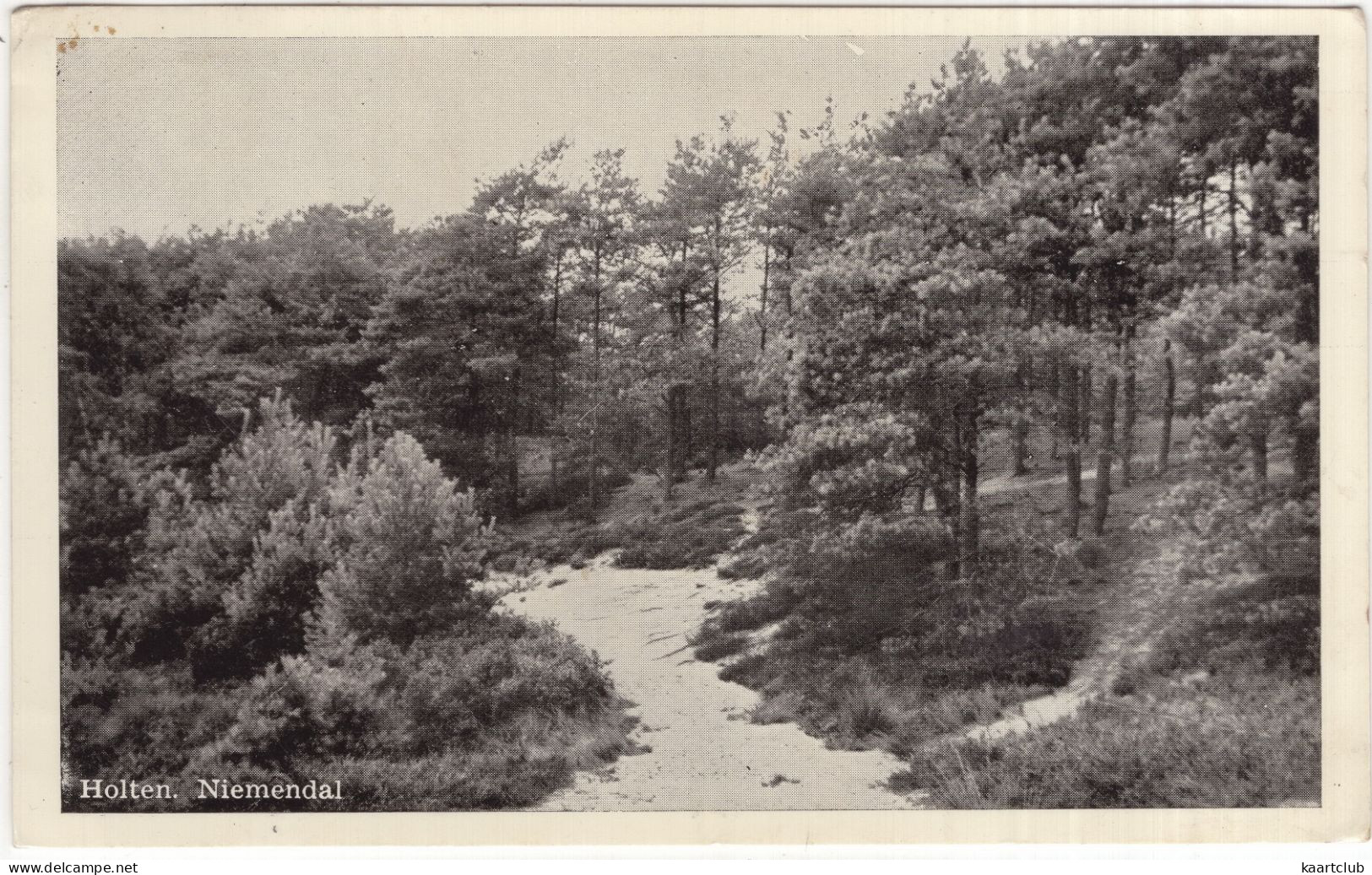 Holten. Niemendal - (Overijssel, Nederland/Holland) - 1953 - Holten