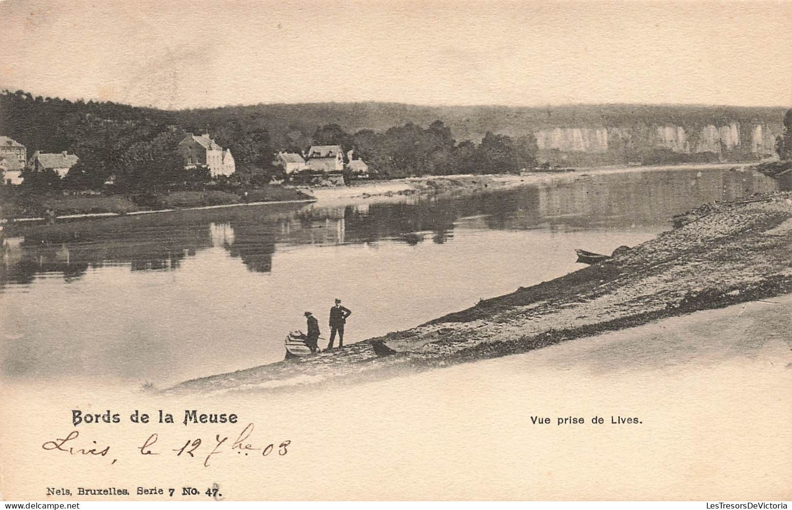 BELGIQUE - Bords De La Meuse - Vue Prise De La Lives - Carte Postale Ancienne - Namen