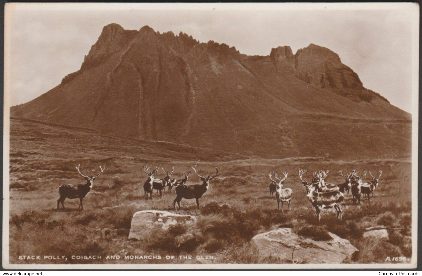 Stack Polly, Coigach And The Monarchs Of The Glen, C.1930s - JB White RP Postcard - Sutherland