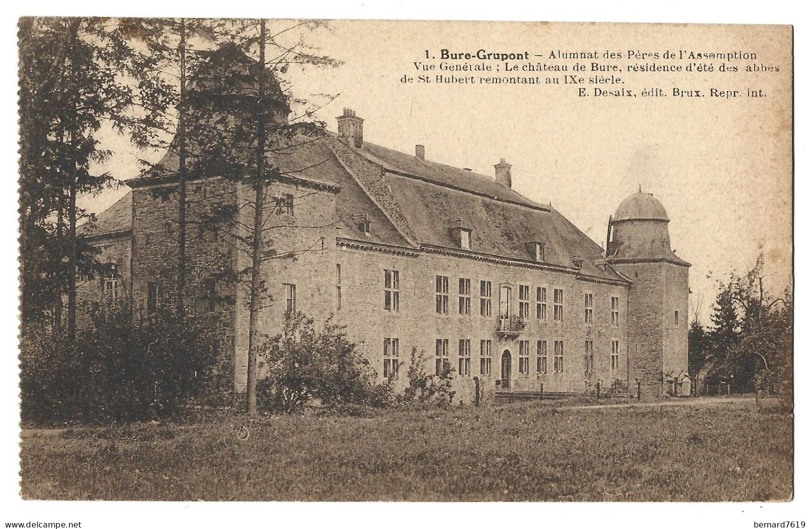 Belgique -   Bure - Grupont - Alumnat Des Peres De L'assomption - - Vue Generale  Le Chateau De Bure - Tellin