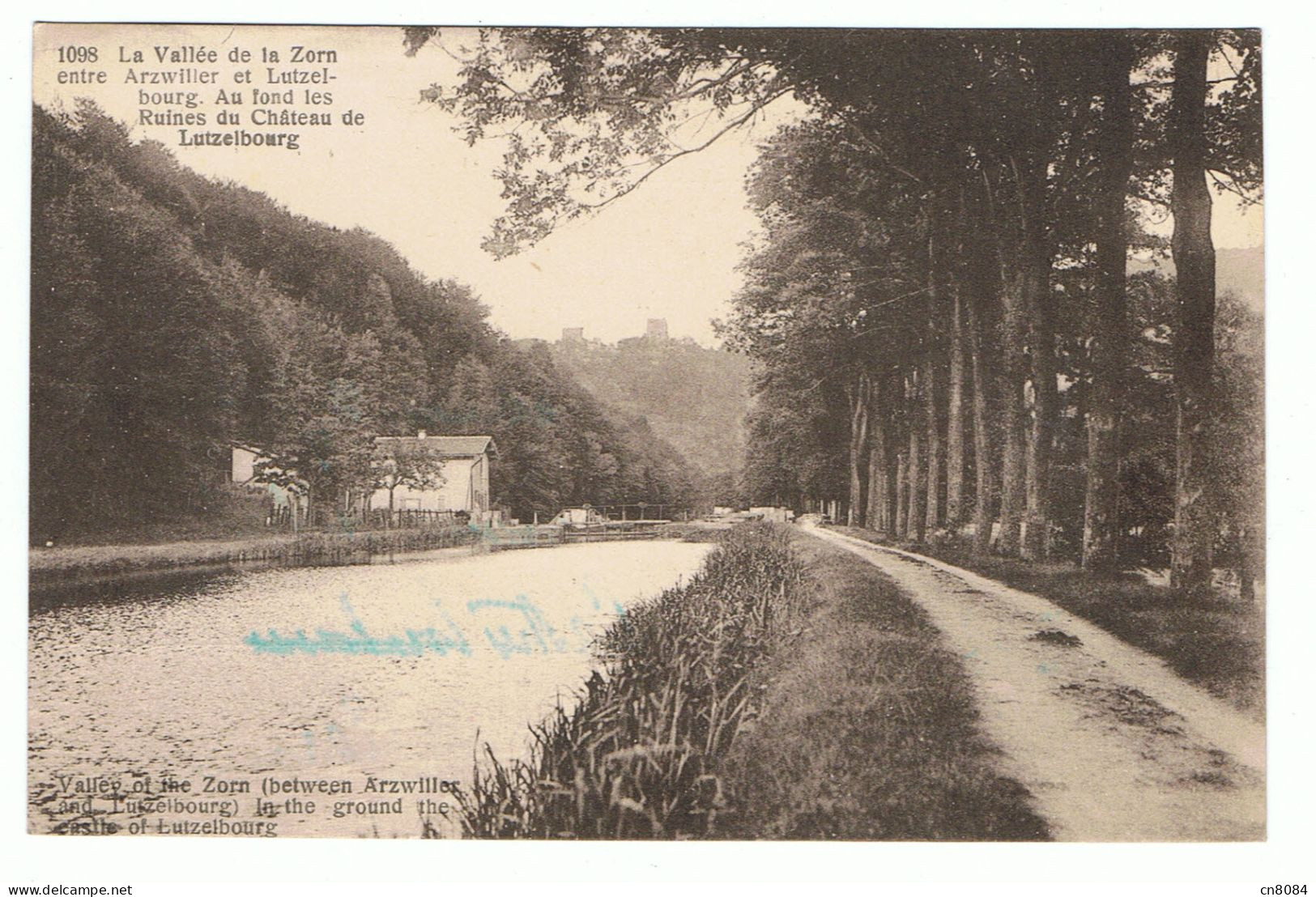 LA VALLEE DE LA ZORN ENTRE ARZWILLER ET LUTZELBOURG - 57 - AU FOND LES RUINES DU CHATEAU DE LUTZELBOURG - Arzviller