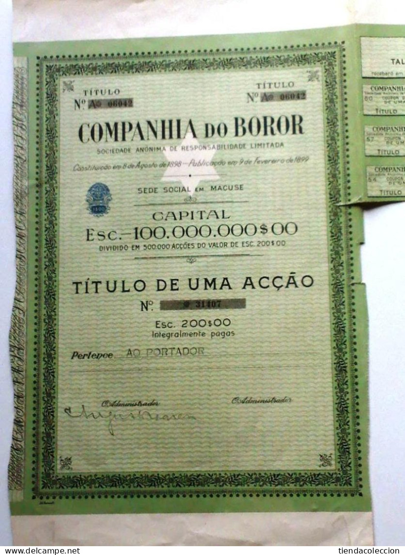 COMPANHIA DO BOROR - Afrique