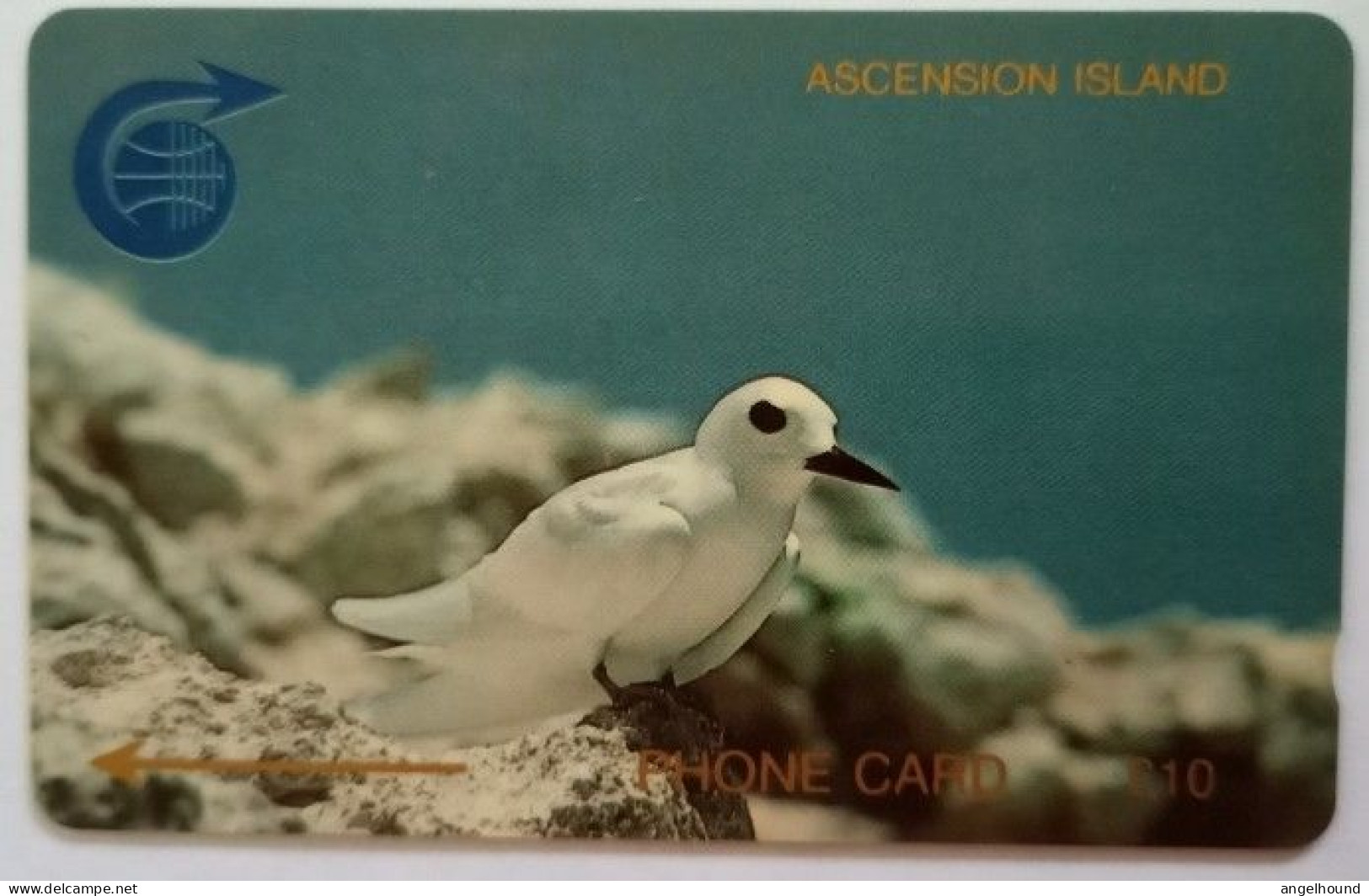 Ascencion Island £10  1CASC - Fairy Tern Bird - Islas Ascensión