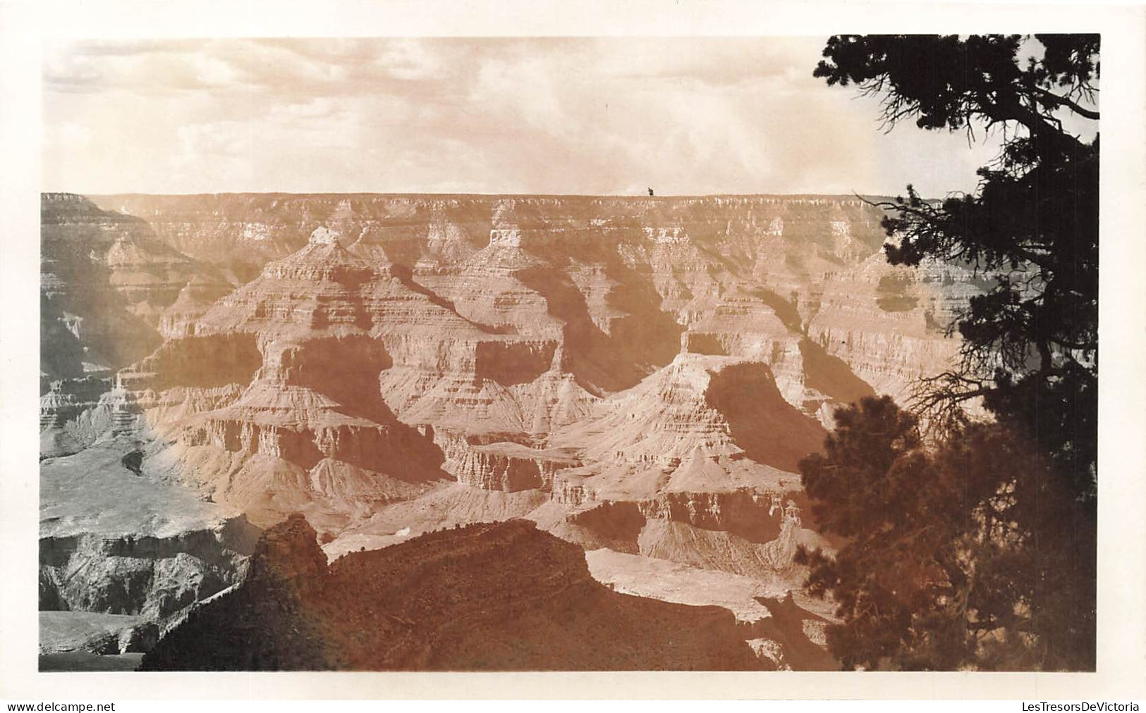 ETATS-UNIS - Grand Canyon - Arizona - Carte Postale Ancienne - Gran Cañon