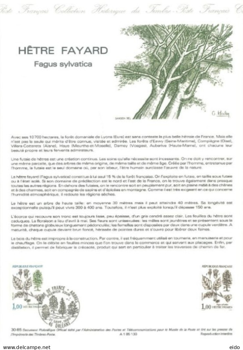 FRANCE : 1985 - SPECIAL OFFICIAL  CARD SHEET PHILATELIC DOCUMENT OF FAGUS SYLVATICA  EUROPEAN TREE. - Altri & Non Classificati