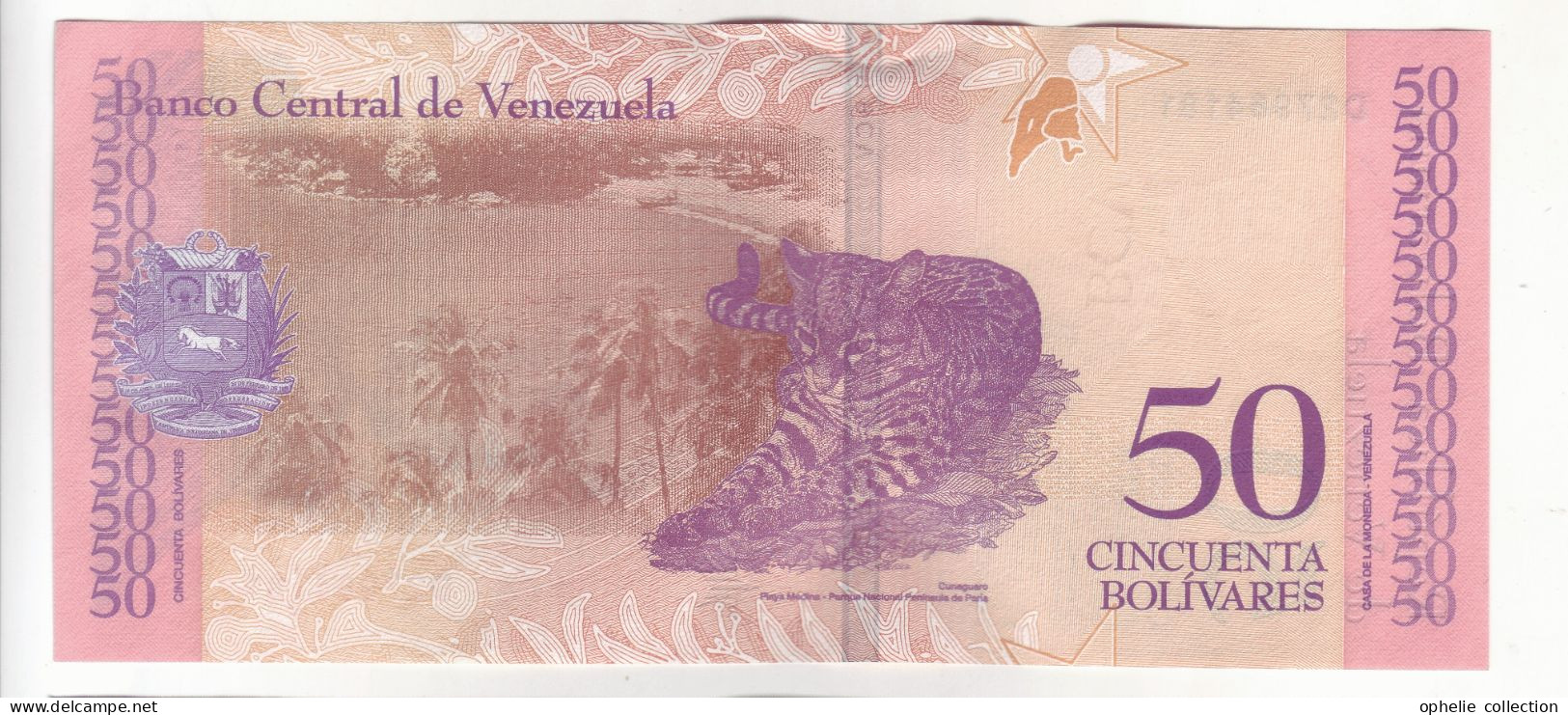 Amérique - Venezuela - PK N°999 - 50 Bolivares - 45 - Other - America