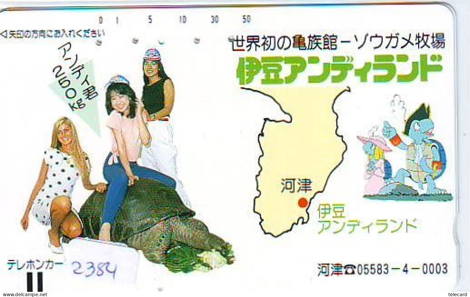 Télécarte Japon * FRONTBAR 110-9873 * TURTLE (2384) PHONECARD JAPAN * TORTUE * TELEFONKARTE * SCHILDKRÖTE * SCHILDPAD - Tortues