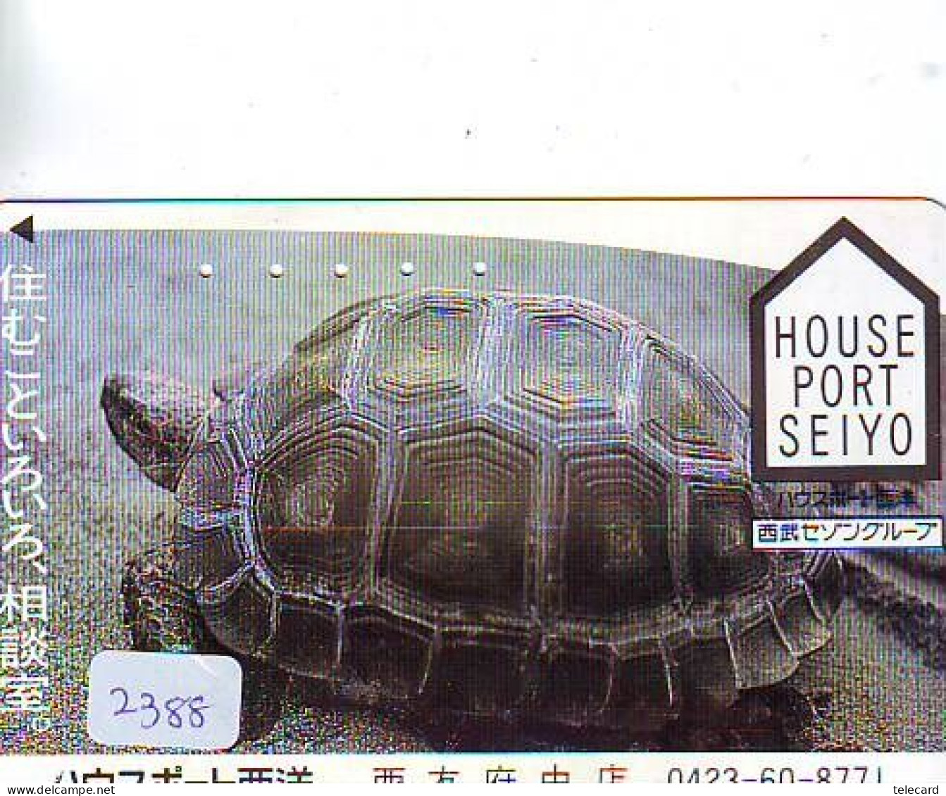 Télécarte Japon *  TURTLE (2388) PHONECARD JAPAN * TORTUE * TELEFONKARTE * SCHILDKRÖTE * SCHILDPAD - Turtles