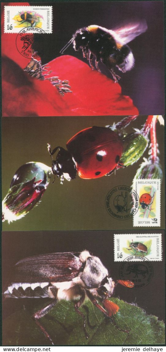 Carte-maximum (CM) - N°2630/35. Nature, Insectes. - 1991-2000