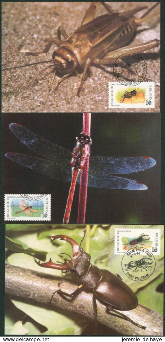 Carte-maximum (CM) - N°2630/35. Nature, Insectes. - 1991-2000