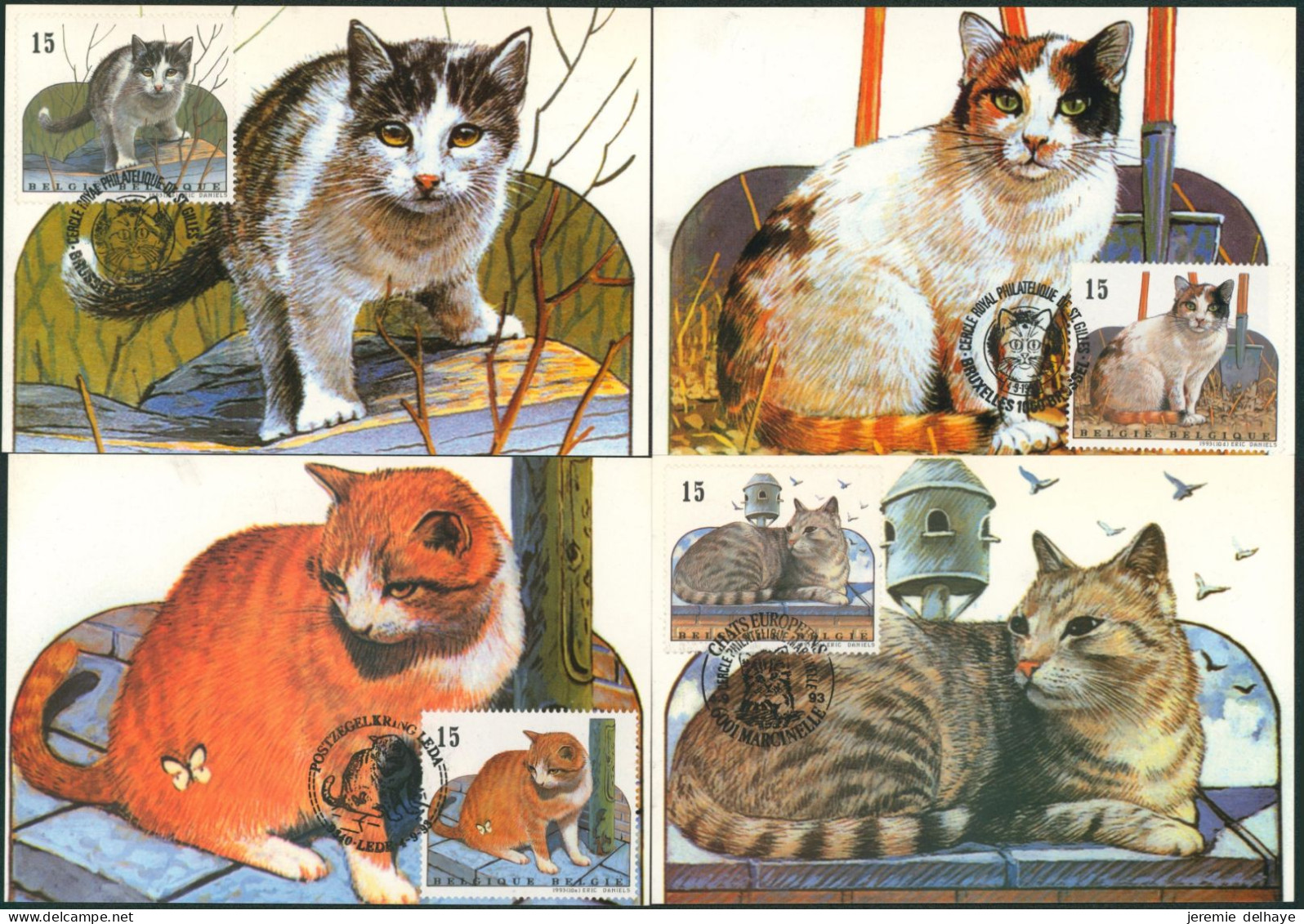 Carte-maximum (CM) - N°2521/24 Chats, Kat - 1991-2000