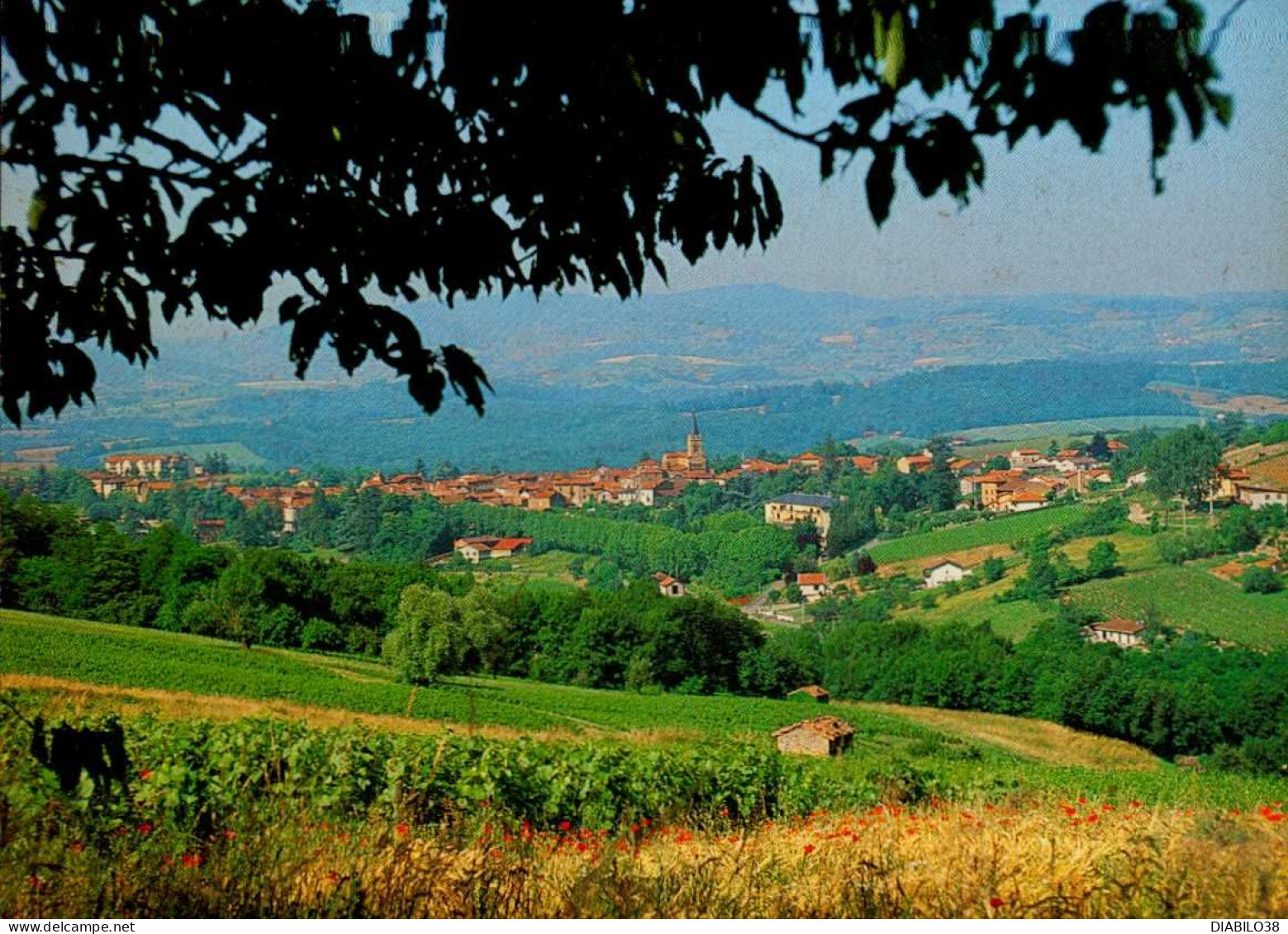 LE BOIS D ' OINGT   ( RHONE )  BIENVENUE DANS CETTE JOLIE REGION . . .  VUE GENERALE 1 - Le Bois D'Oingt