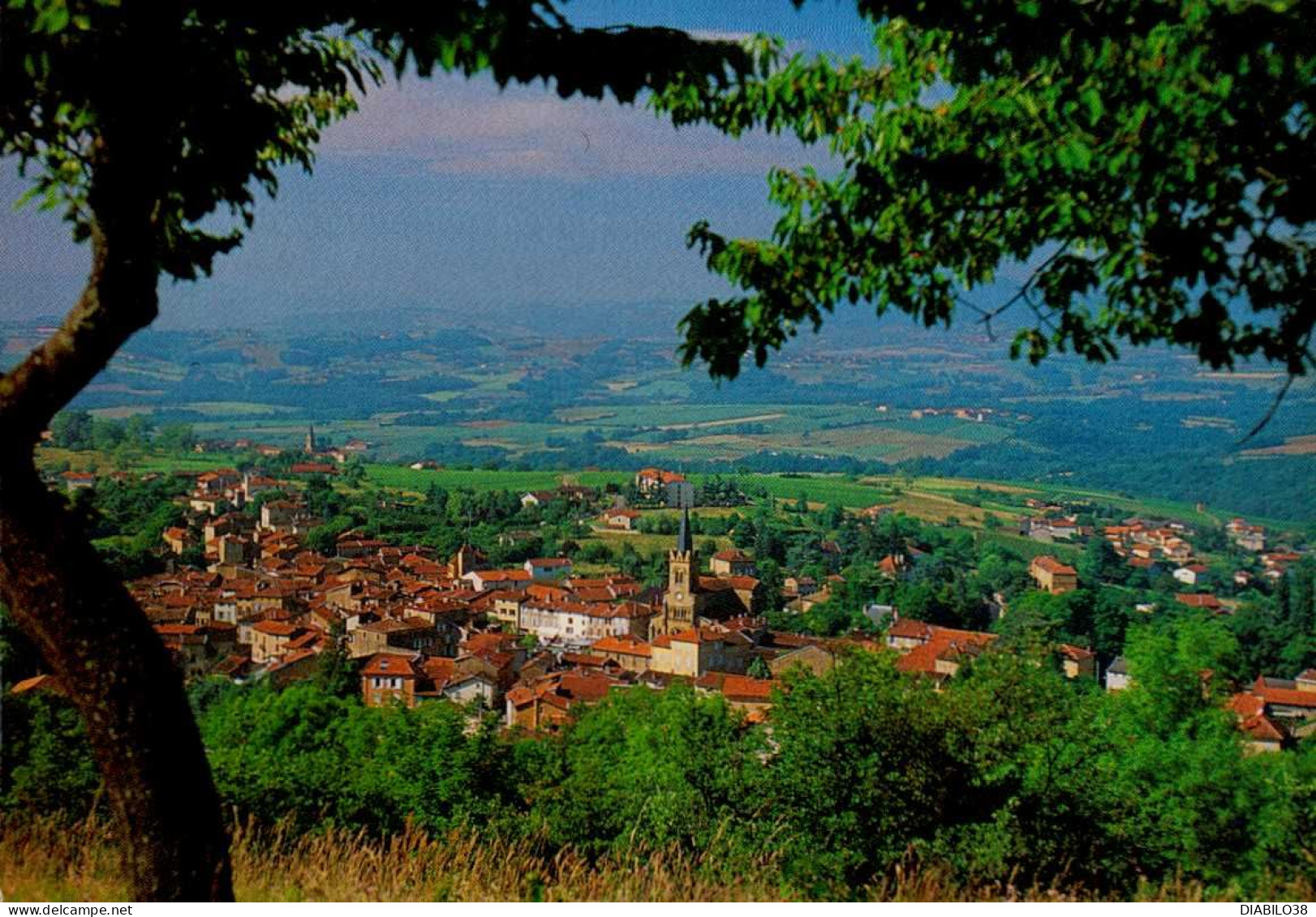 LE BOIS D ' OINGT   ( RHONE )  BIENVENUE DANS CETTE JOLIE REGION 2 - Le Bois D'Oingt