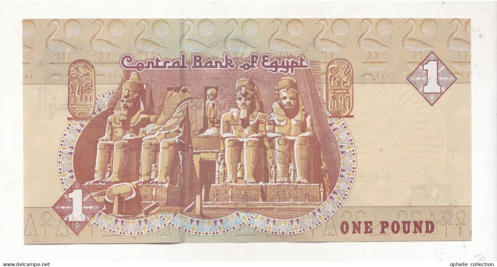 Afrique - Egypte - One Pound - PK 50 - 55 - Other - Africa