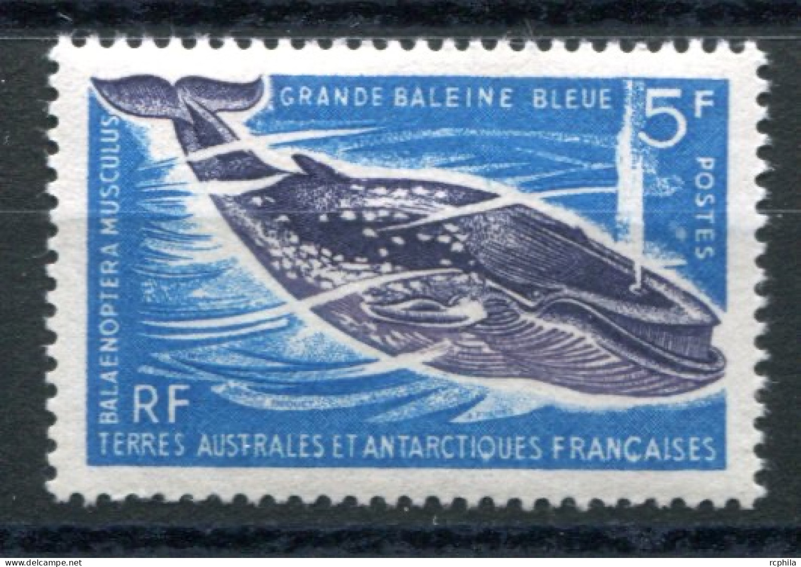 RC 26383 TAAF COTE 31€  N°22 FAUNE MARINE GRANDE BALEINE BLEUE NEUF * MH TB ( LÉGÈRES TRACES DE CHARNIÈRES ) - Ungebraucht