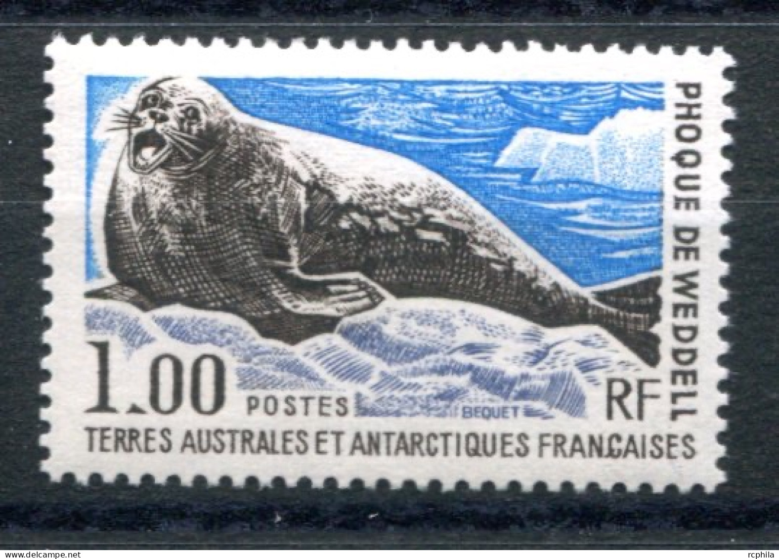 RC 26392 TAAF COTE 16,50€ N° 58 FAUNE PHOQUE DE WEDDEL NEUF ** MNH TB - Unused Stamps