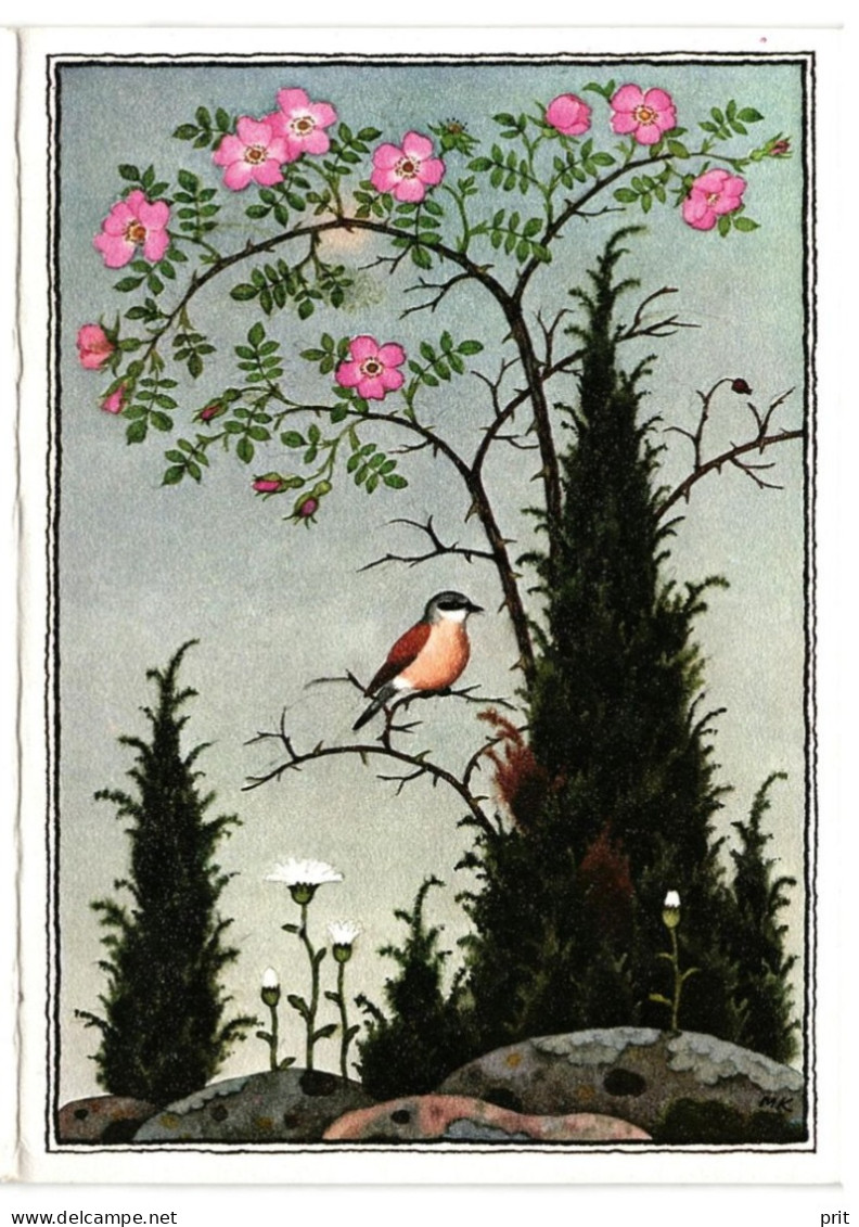 Rose Hip, Bird & Juniper, Artist Mari Kaarma, Art Card Postcard Soviet Estonia 1989 Publisher "Eesti Raamat" Tallinn - Estonie