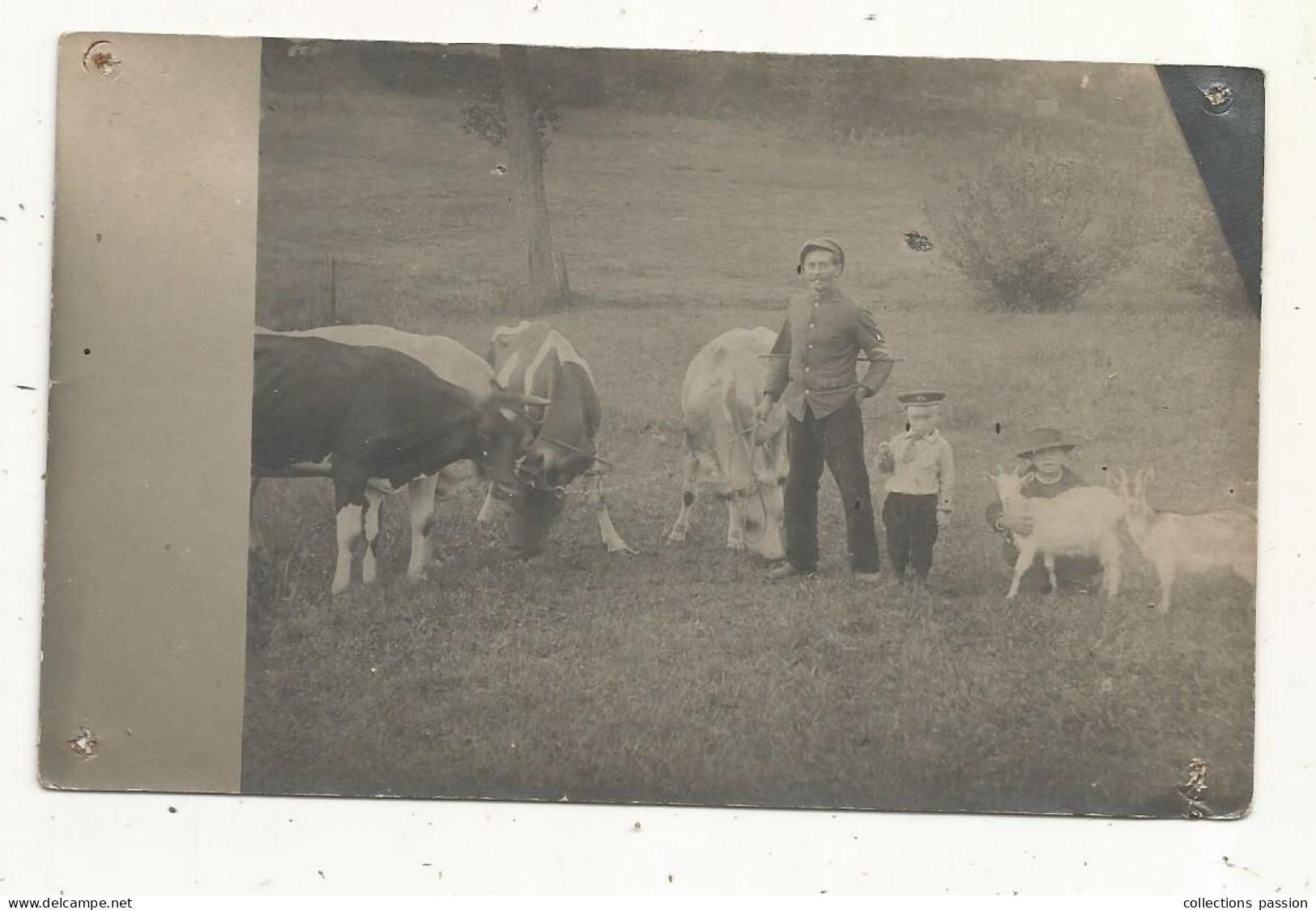 Cp, Carte Photo, Militaria, Militaire, Enfants, Vaches, Chèvres, Souvenir D'allemagne, écrite - Personen