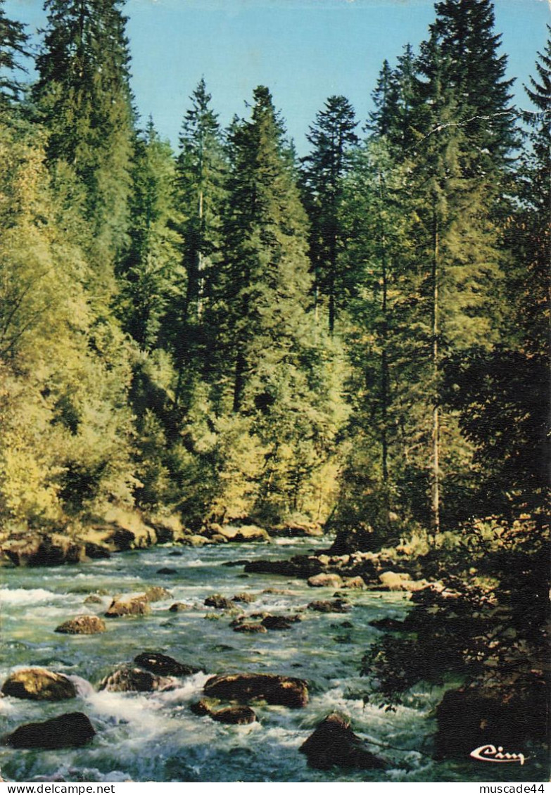 FRANCHE COMTE - UN RENDEZ VOUS DE PECHEURS DANS LA FORET JURASSIENNE - Franche-Comté