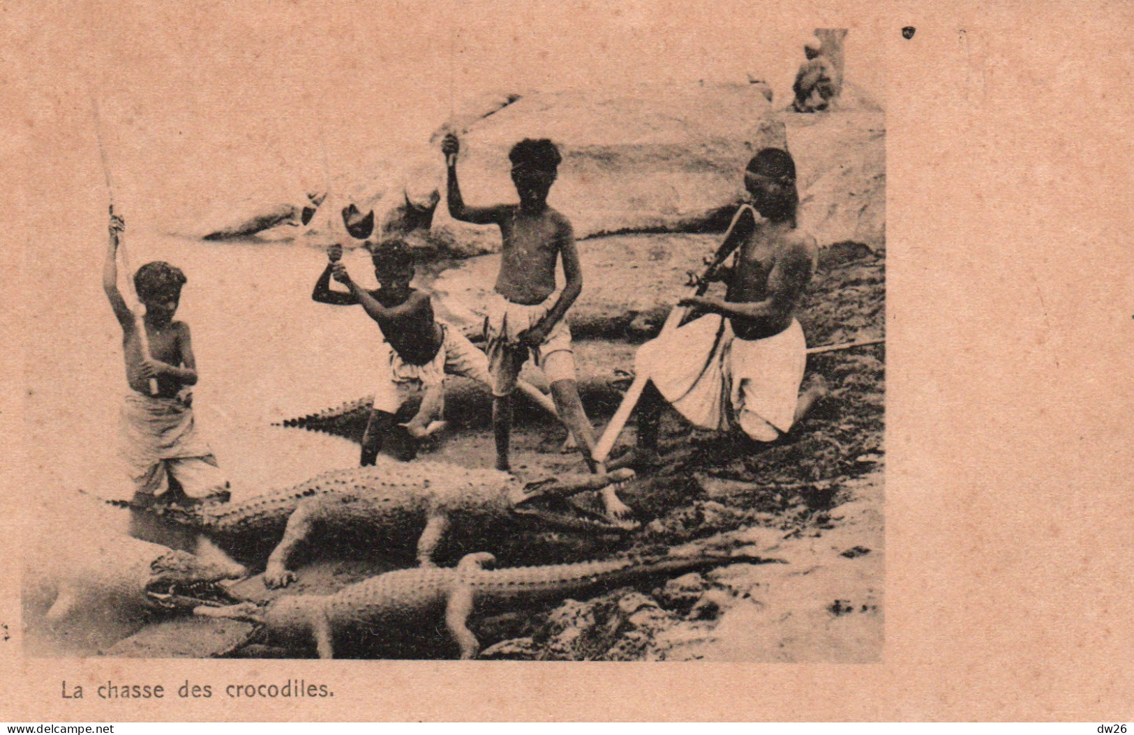 Ethnologie Afrique: La Chasse Aux Crocodiles - Carte Non Circulée - Senegal