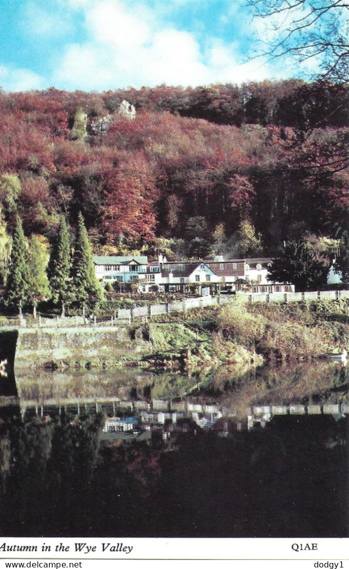 AUTUMN IN THE WYE VALLEY, HEREFORDSHIRE, ENGLAND. UNUSED POSTCARD   Zq5 - Herefordshire