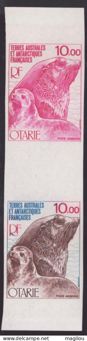 2 Essai De Couleur Dont 1 Multicolore Taaf/fsat Otarie  Yvert PA 48 MNH ** - Imperforates, Proofs & Errors