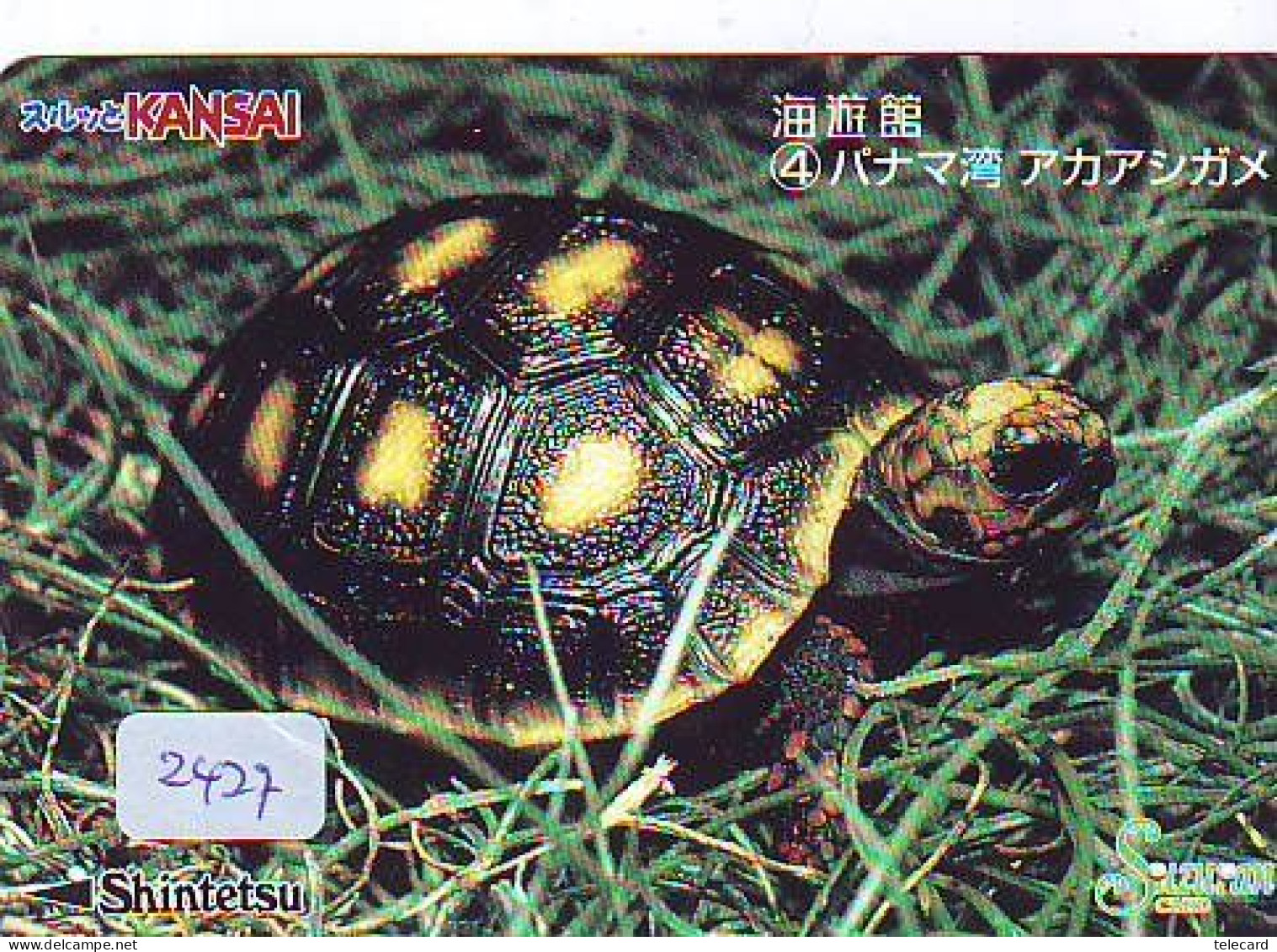 Carte Prépayée Japon * TURTLE (2427) * PREPAID JAPAN * TORTUE * KARTE * SCHILDKRÖTE * SCHILDPAD - Schildpadden