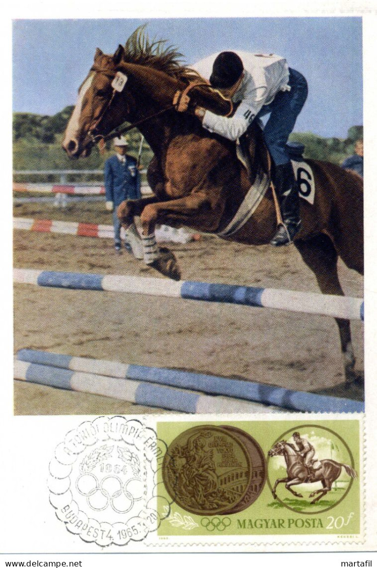 TEMATICA CAVALLI - HORSES - Cartolina, Cavallo, Olimpiadi 1964, Budapest - Pferde