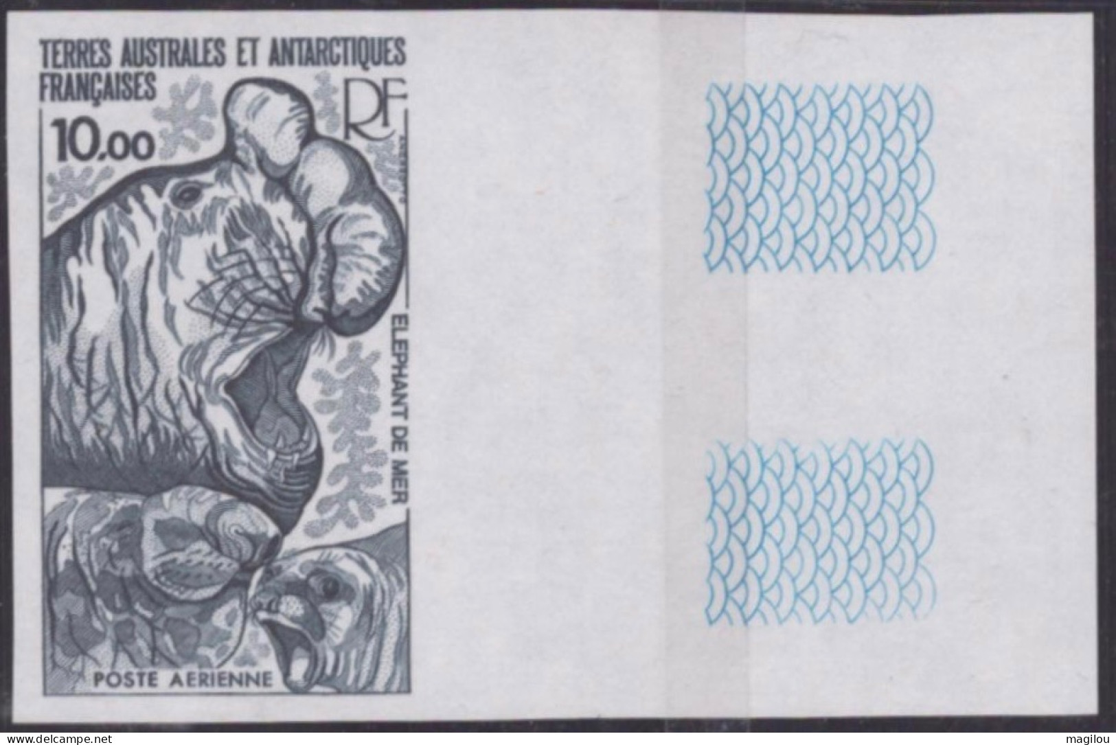 Essai De Couleur Taaf/fsat Elephant De Mer Yvert PA 55 MNH ** - Imperforates, Proofs & Errors