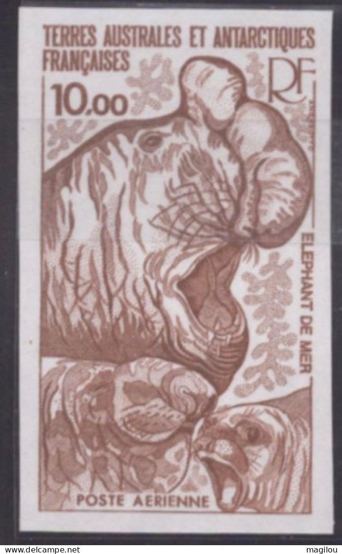 Essai De Couleur Taaf/fsat Elephant De Mer Yvert PA 55 MNH **4 - Imperforates, Proofs & Errors