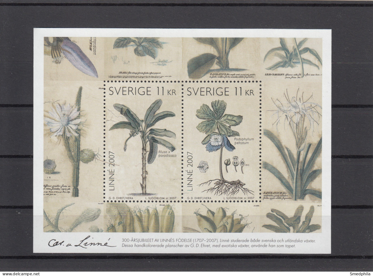 Sweden Block 2007 - Michel Block 24 MNH ** - Blocks & Sheetlets