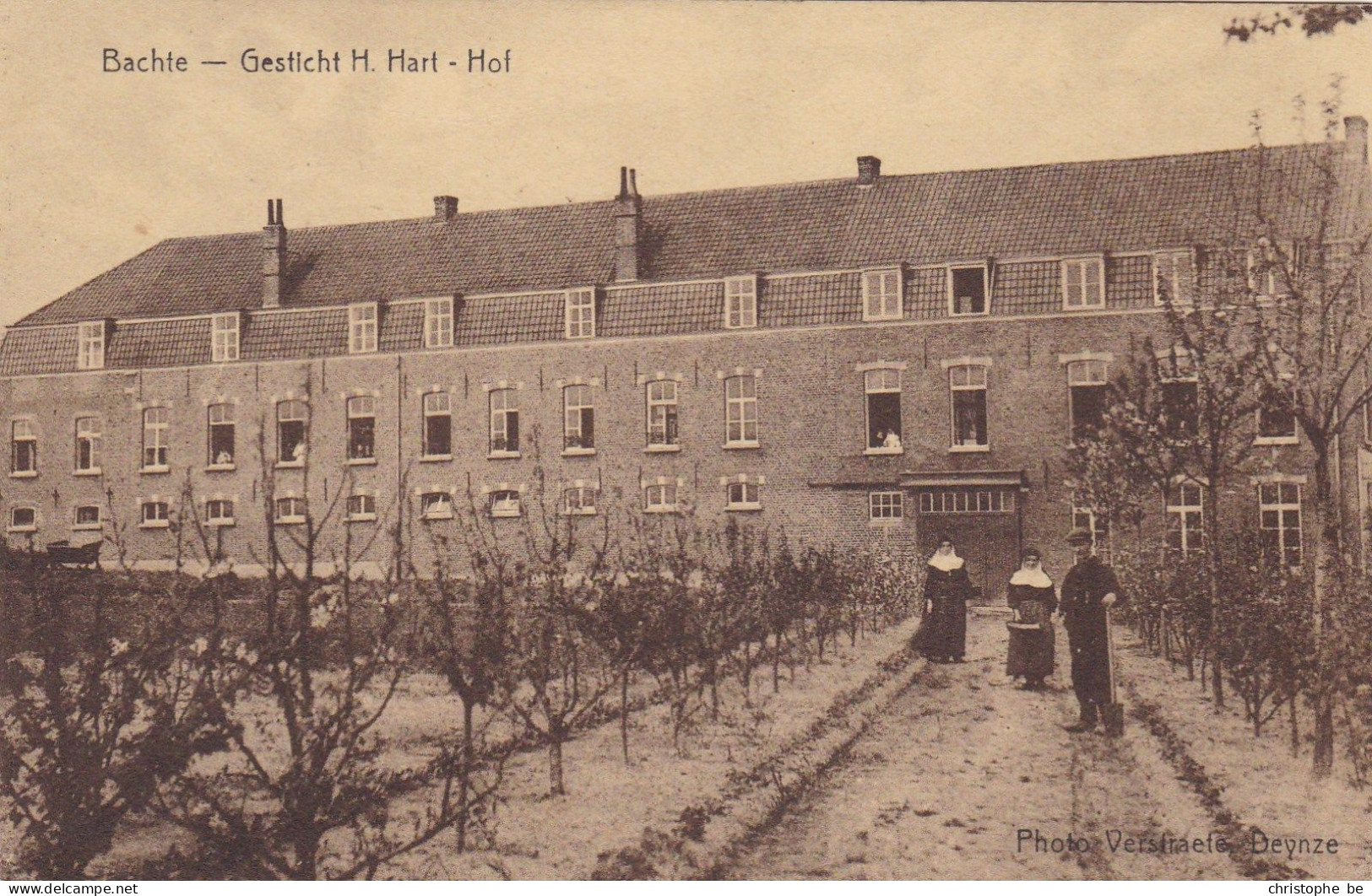 Deinze, Gesticht H Hart, Hof. (pk85930) - Deinze