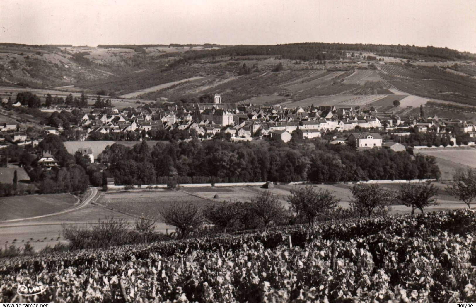 Saint Bris Le Vineux - Vue Générale Du Village - Saint Bris Le Vineux