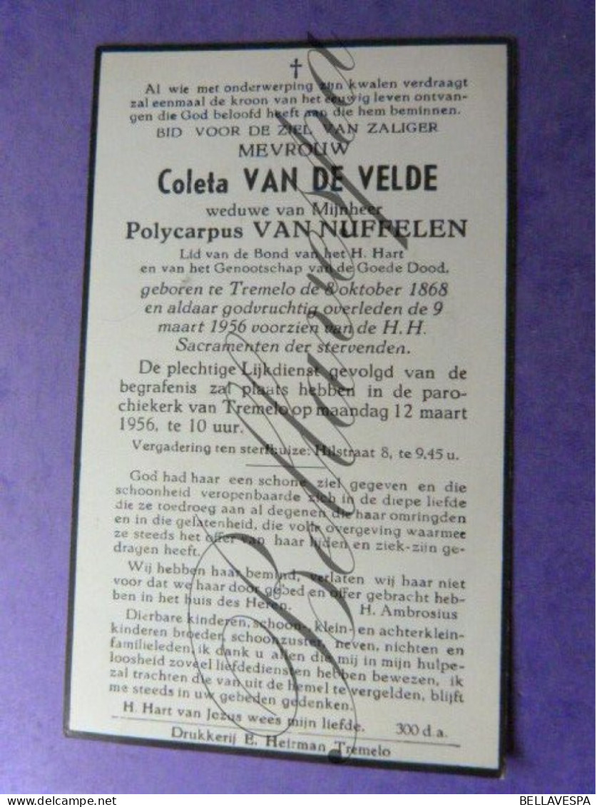 Coleta VAN DE VELDE Echt P.VAN NUFFELEN Tremelo 1868 -1956 - Décès