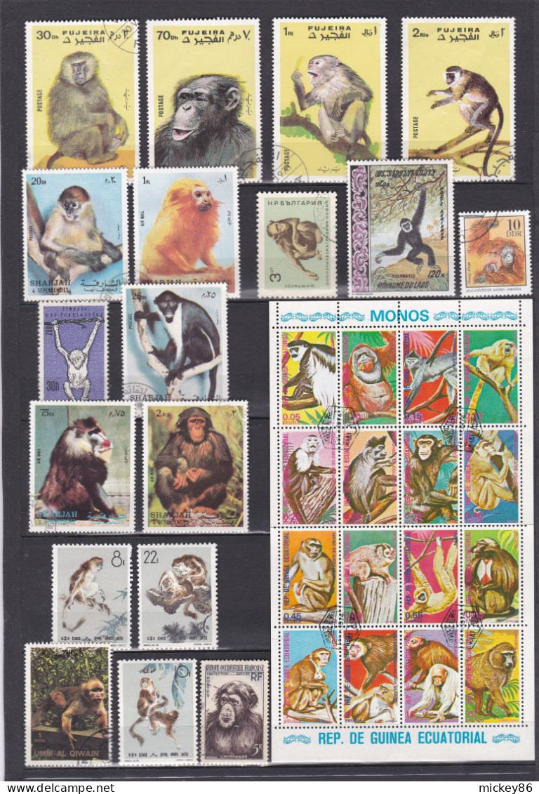 Animaux--SINGES -- Lot De 61 Timbres ..................à Saisir - Monkeys