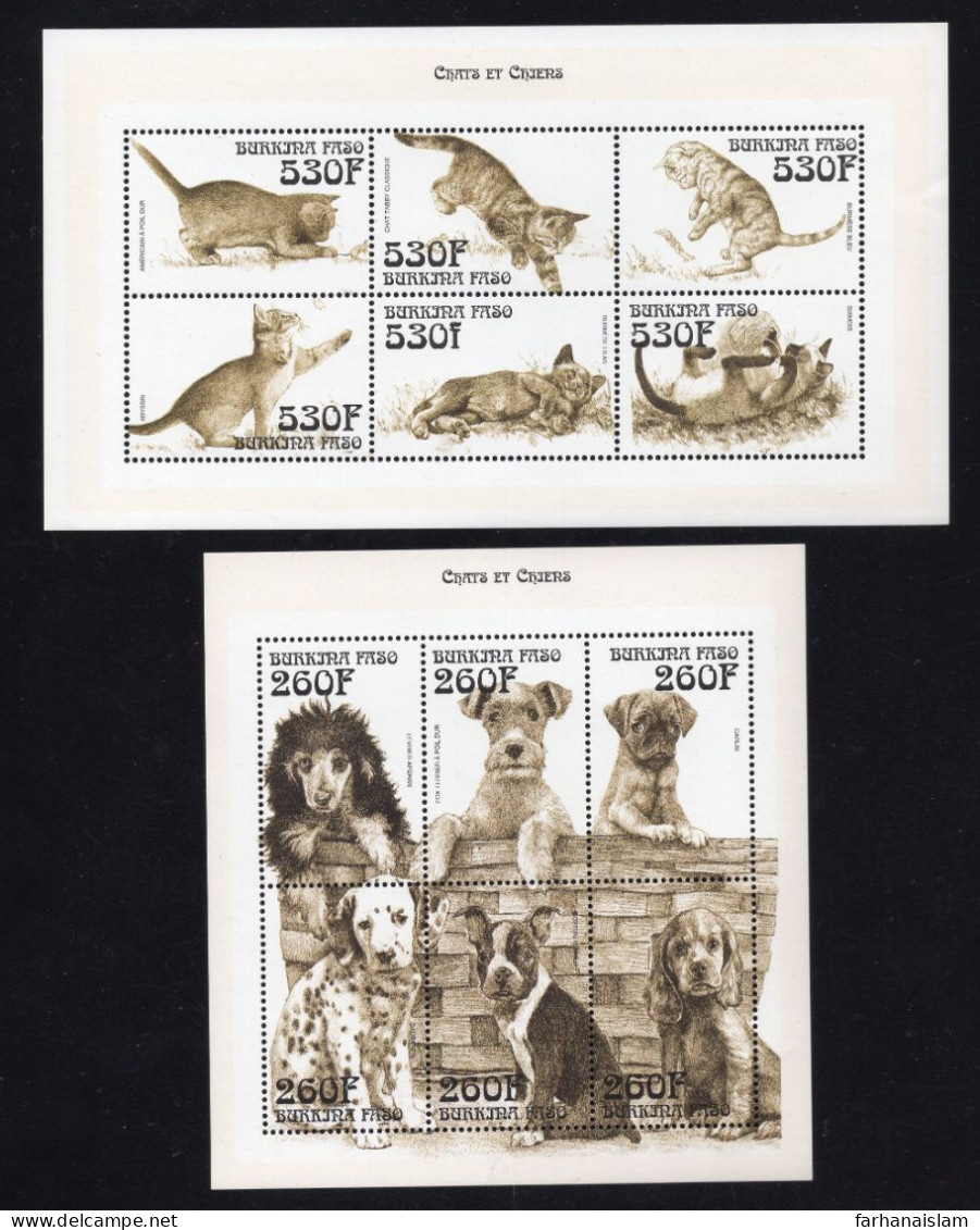 Burkina Faso Souvenir Sheet Ms Cats And Dog Dogs MNH 2 Diff Sheet - Burkina Faso (1984-...)