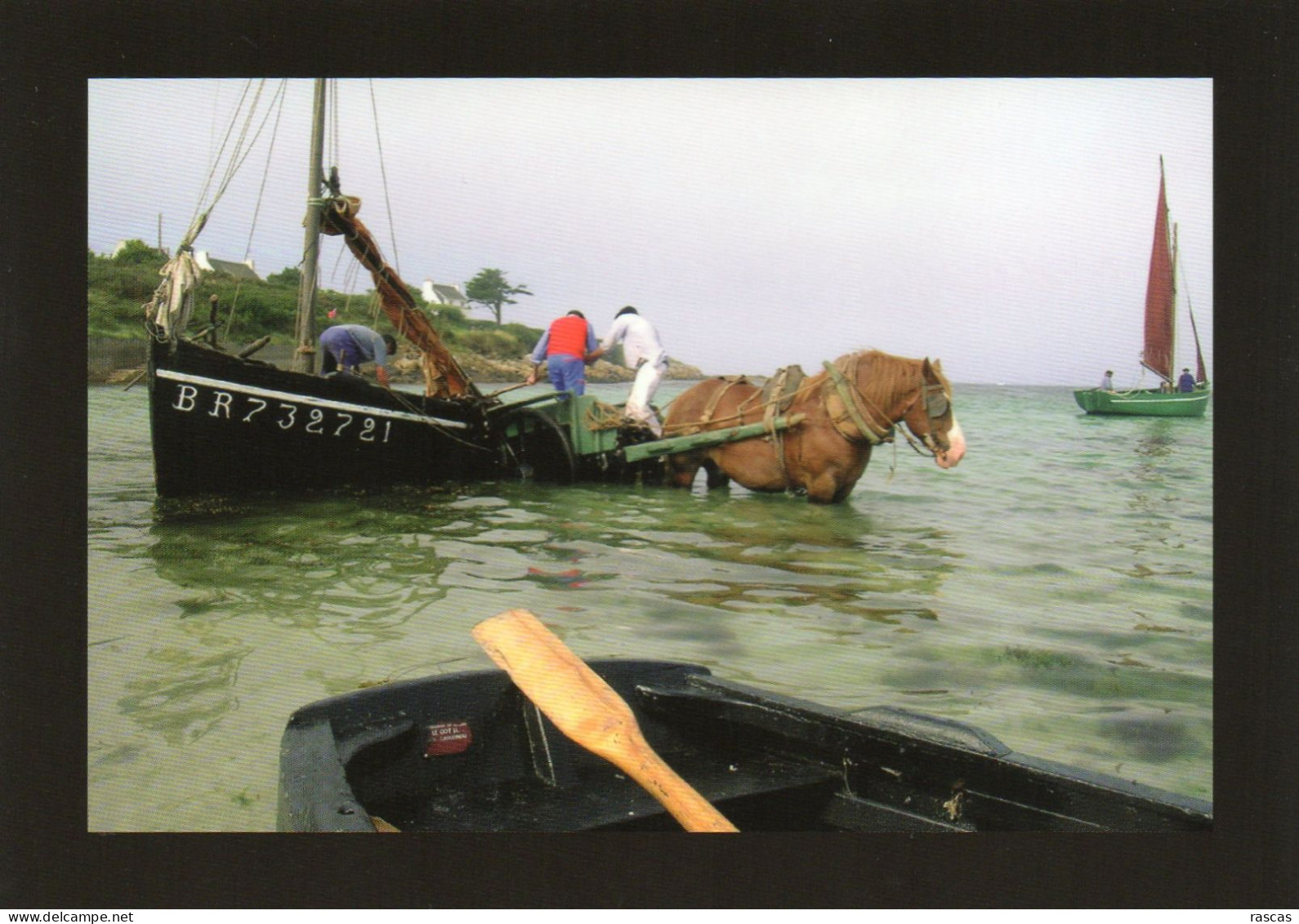 CPM - N - FINISTERE - PLOUGUERNEAU - FETES DES GOEMONIERS 2010 - PORT DU KOREJOU - 25 ANS DE L'ASSOCIATION KARREG HIR - Plouguerneau