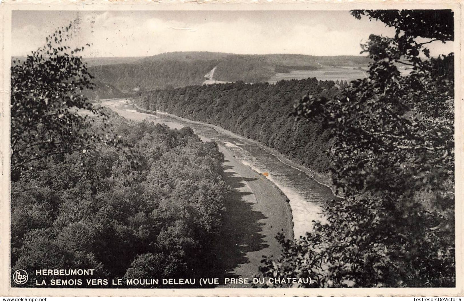 BELGIQUE - Herbeumont - La Semois Vers Le Moulin Deleau Vue Prise Du Château - Carte Postale Ancienne - Herbeumont