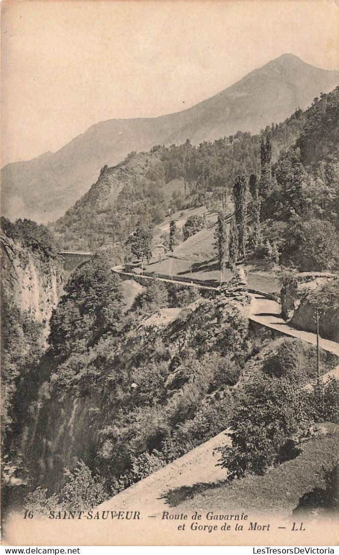 FRANCE - Saint Sauveur - Route De Gavarnie Et Gorge De La Mort - LL - Carte Postale Ancienne - Luz Saint Sauveur