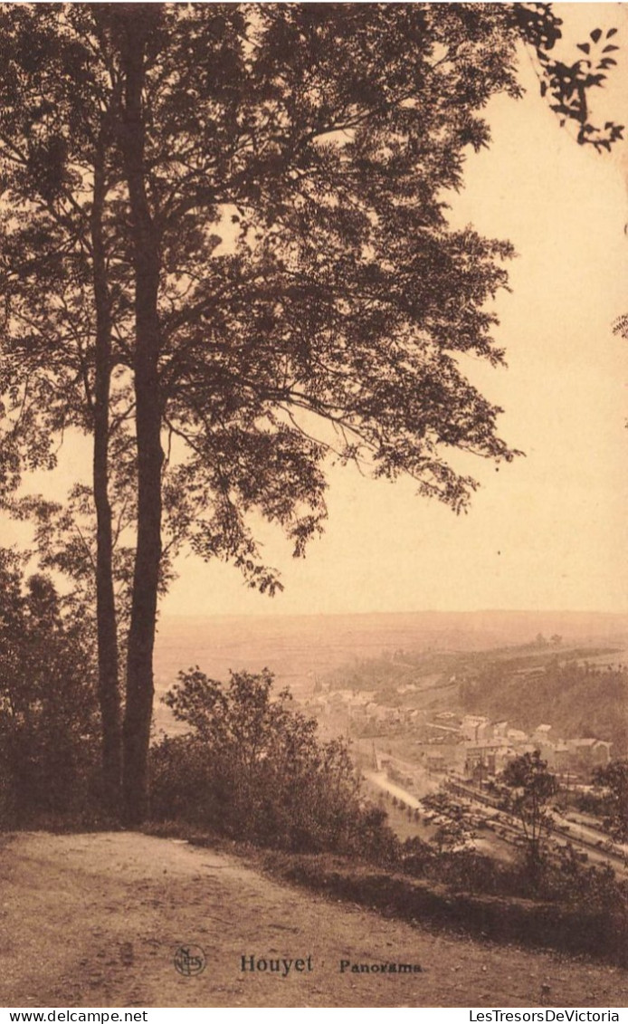 BELGIQUE - Houyet - Panorama - Ville - Edit Thill - Carte Postale Ancienne - Houyet