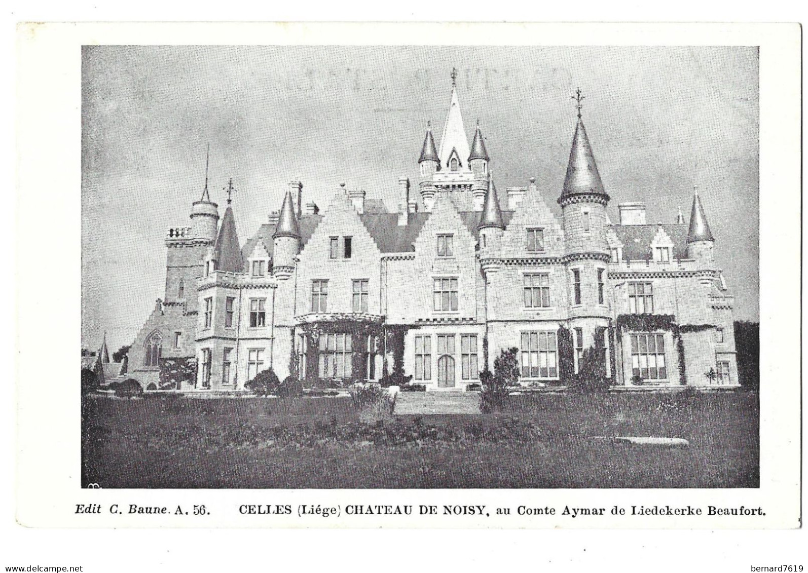 Belgique - Celles  -    Chateau De Noisy Au Comte  Aymar  De Liedekerke Beaufort  - Gendro, - Celles