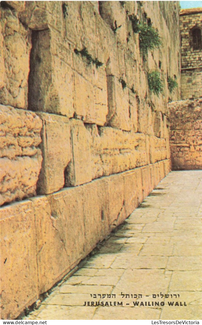 ISRAËL - Jérusalem - Wailing Wall - Carte Postale Ancienne - Israel