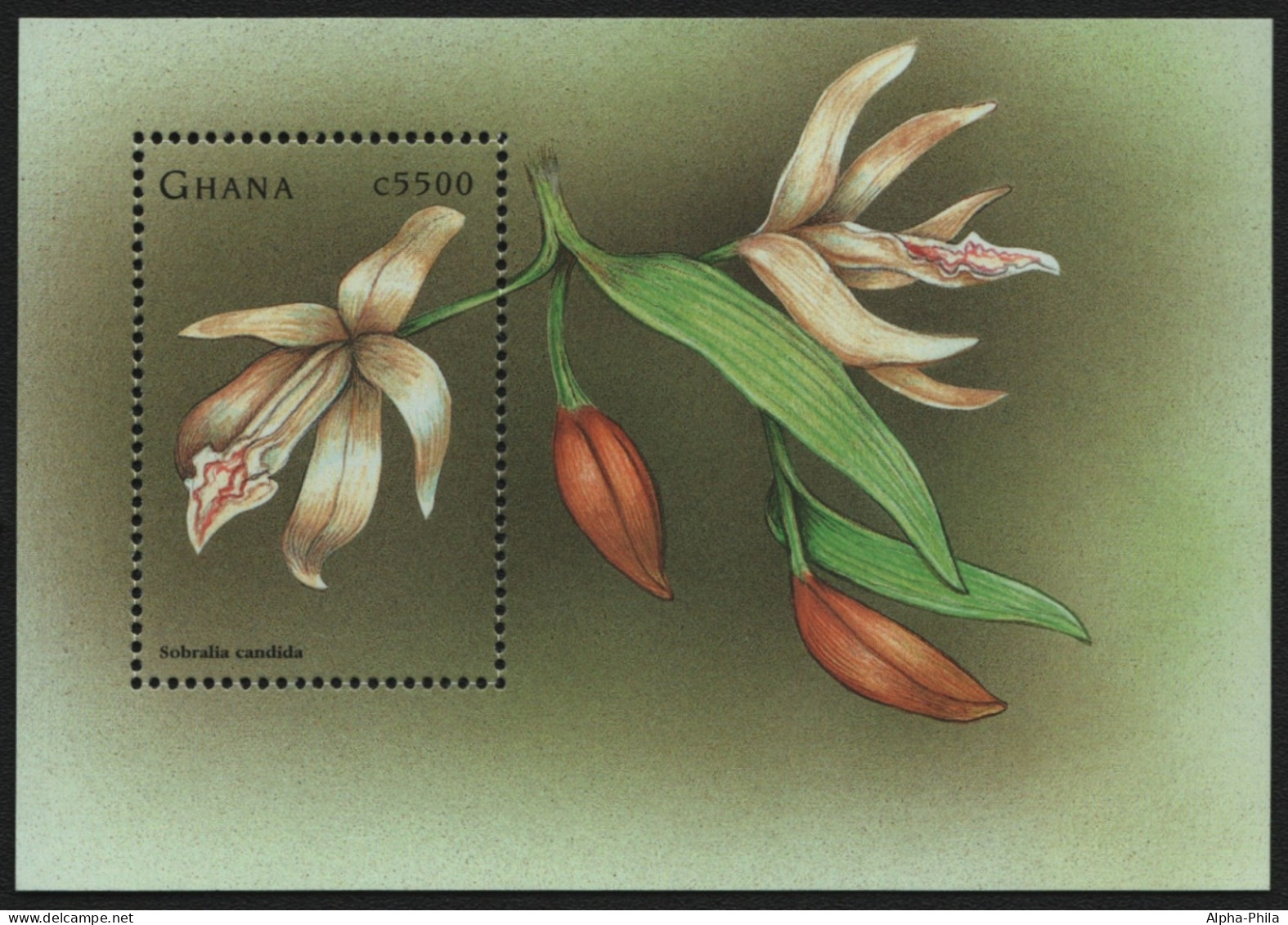Ghana 1998 - Mi-Nr. Block 353 ** - MNH - Orchideen / Orchids - Ghana (1957-...)