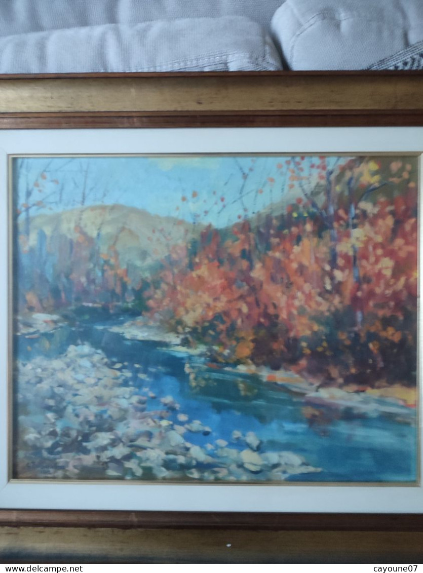 G. TRIBAUDINO (XXème) Huile Sur Papier  "La Rivière " Datée 1972 Sous Verre Cadre Bois Doré - Oils