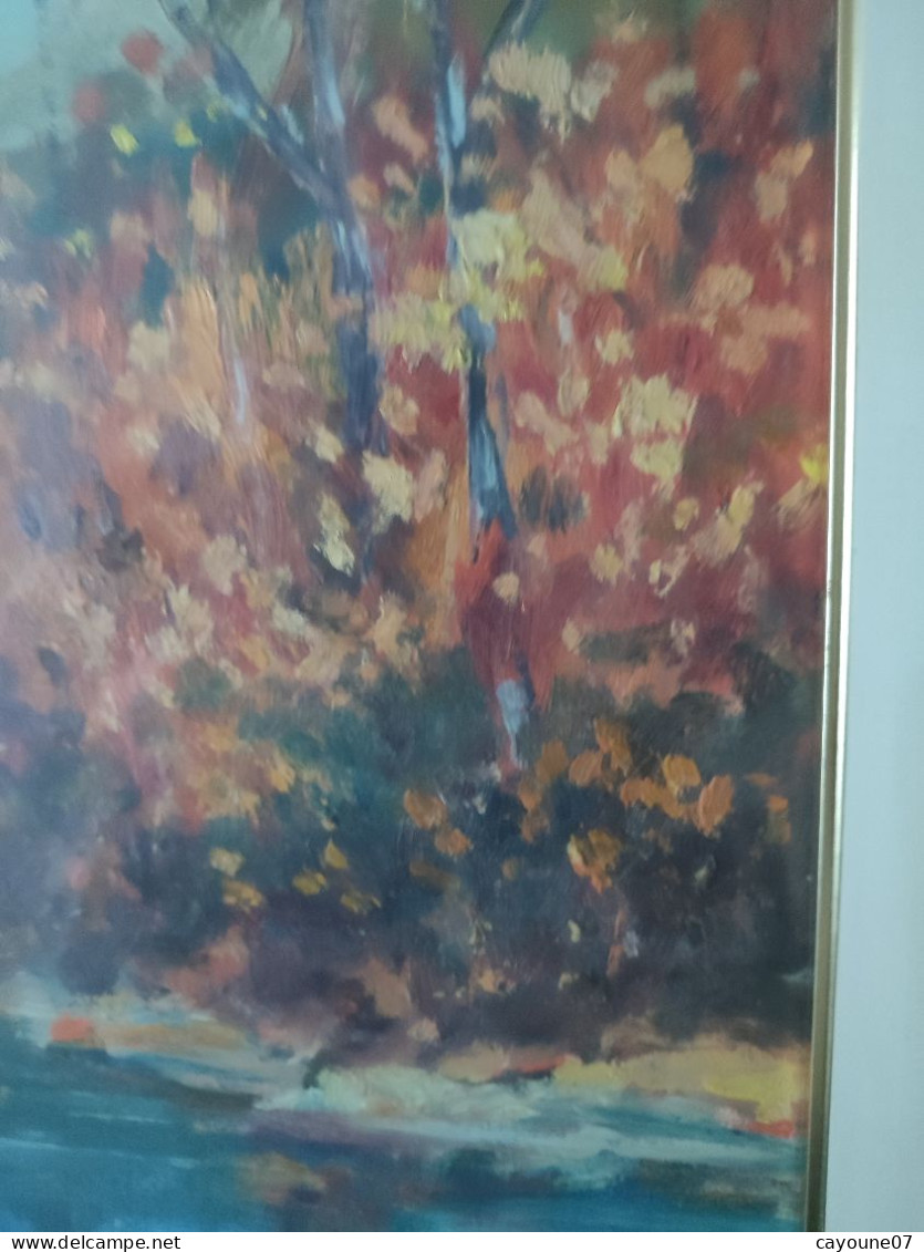 G. TRIBAUDINO (XXème) huile sur papier  "La rivière " datée 1972 sous verre cadre bois doré