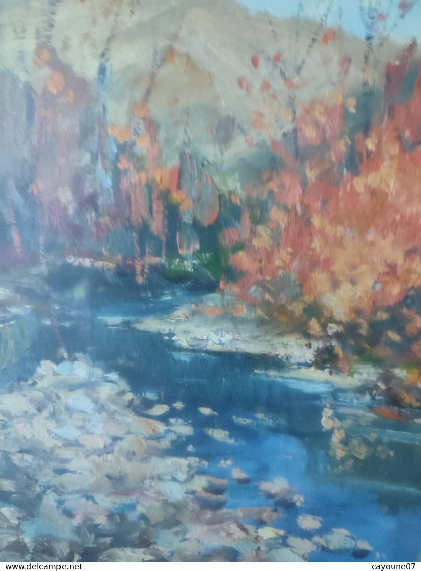 G. TRIBAUDINO (XXème) huile sur papier  "La rivière " datée 1972 sous verre cadre bois doré