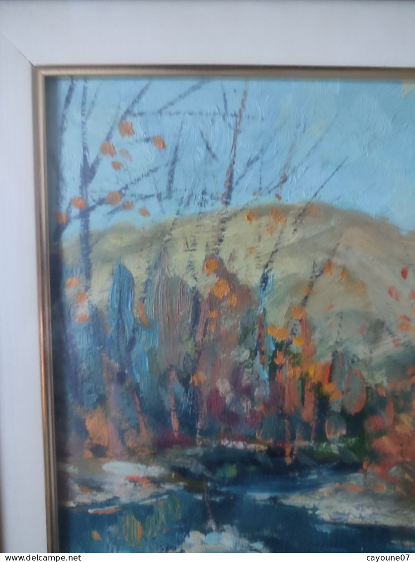 G. TRIBAUDINO (XXème) huile sur papier  "La rivière " datée 1972 sous verre cadre bois doré